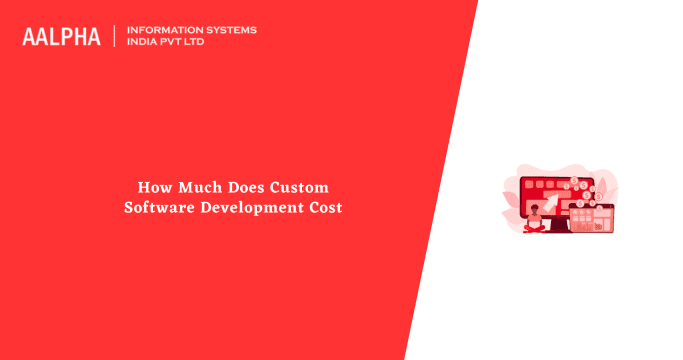 How Much Does Custom Software Development Cost