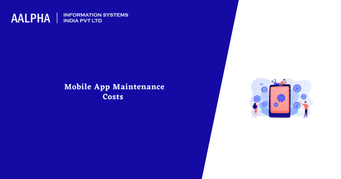 App Maintenance Costs