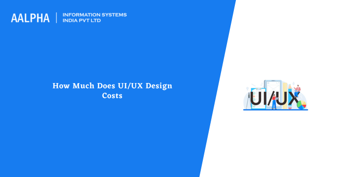 ui ux design costs